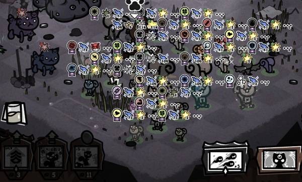 喵喵的结合德鲁伊松鼠流玩法介绍 喵喵的结合德鲁伊松鼠流玩法指南