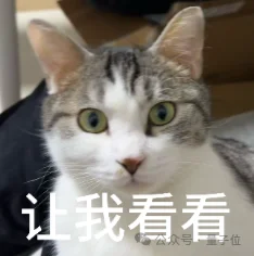 Karpathy：AI编程已质变，就从去年12月开始