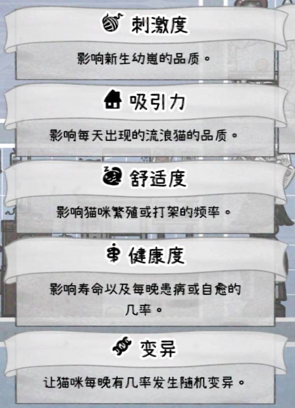 喵喵的结合中后期猫咪培育技巧 喵喵的结合中后期猫咪培育指南