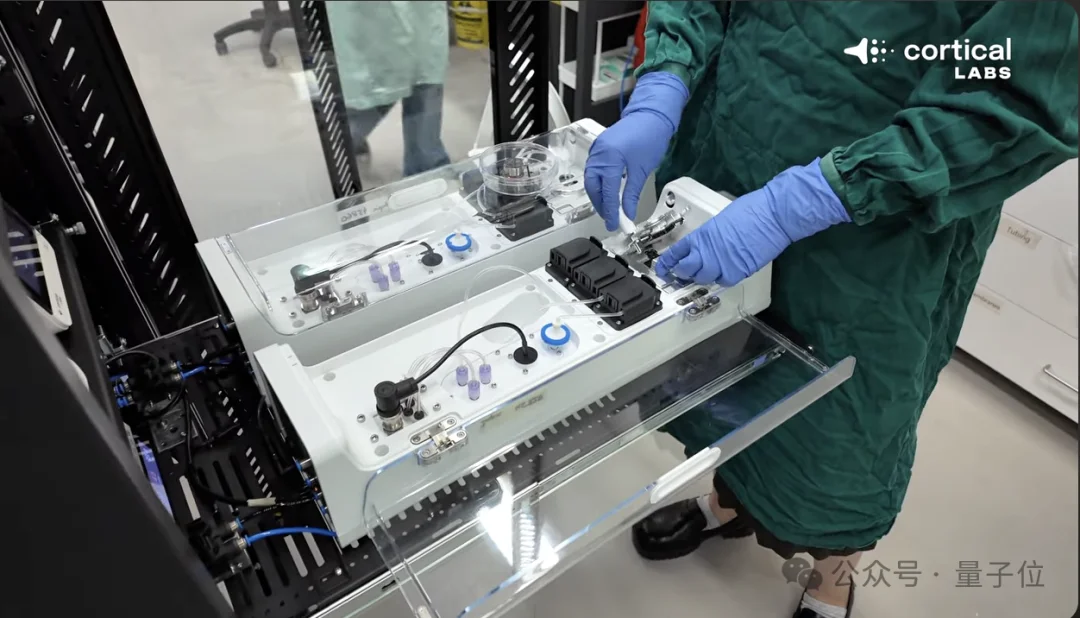 人脑细胞做成芯片打Doom！20万活体神经元自己探路杀敌，学习效率碾压深度强化学习