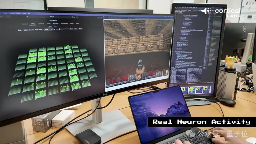 人脑细胞做成芯片打Doom！20万活体神经元自己探路杀敌，学习效率碾压深度强化学习