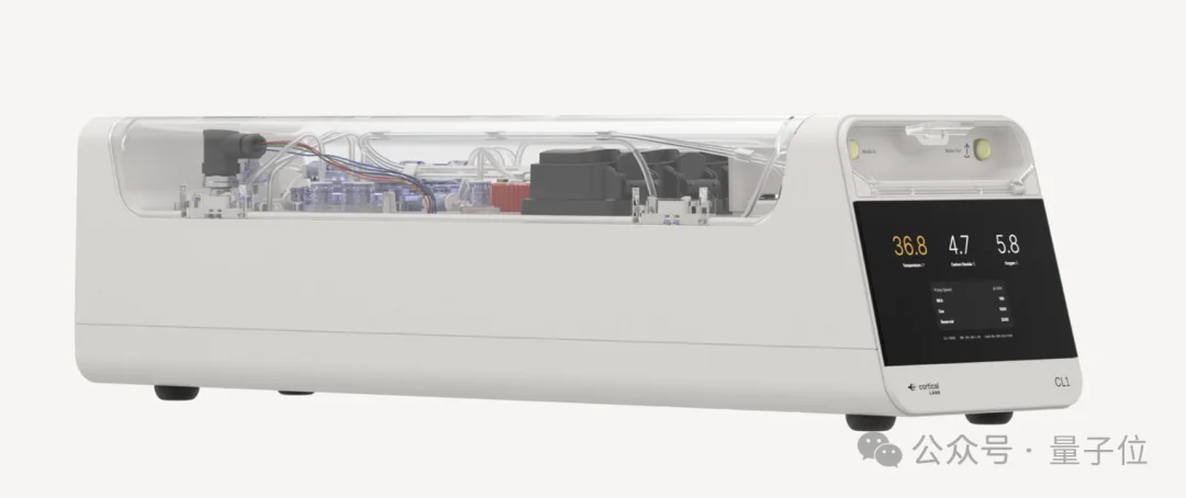 人脑细胞做成芯片打Doom！20万活体神经元自己探路杀敌，学习效率碾压深度强化学习